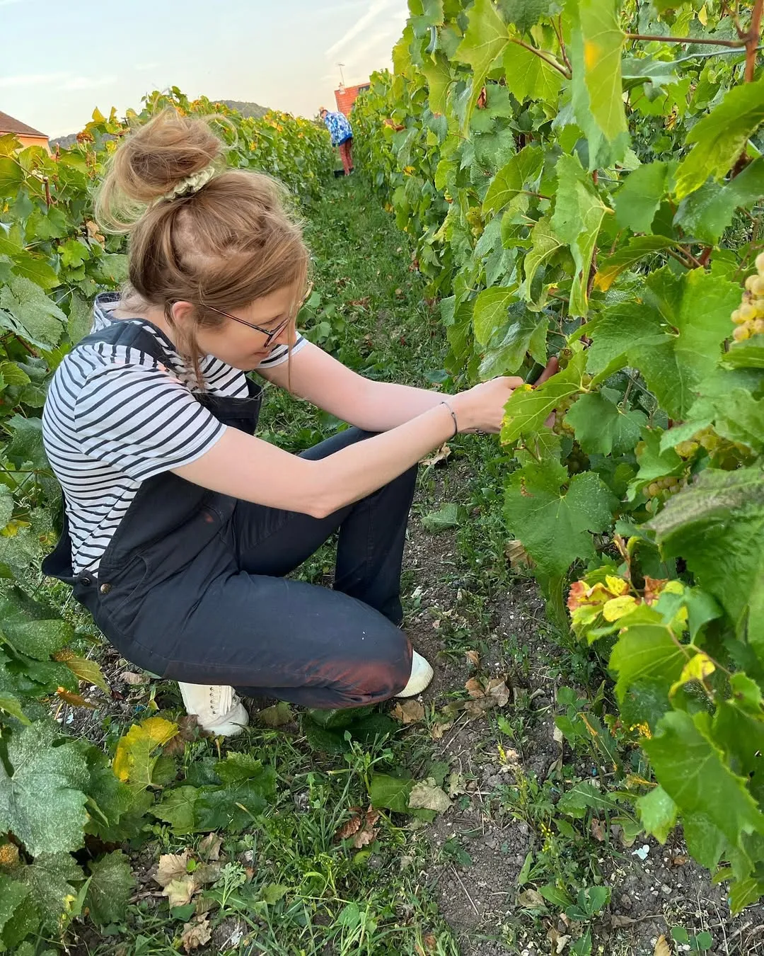 Champagne Du Goupil - Avize Champagne, France
