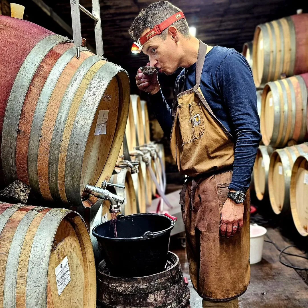 Domaine Robert Groffier - Morey Saint Denis Burgundy, France