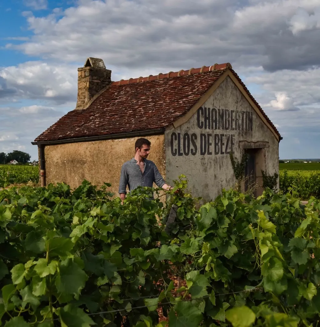 Chambertin Clos De Beze