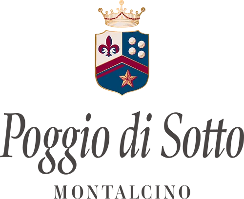 09.02.2026 Poggio di Sotto Montalcino